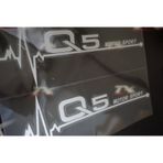 Audi Q5 Motor Sport Kelebek Cam Sticker 2 Li Set