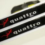 Audi Quattro Gecko Logo 3m 3d Damla Silikon Torpido Ayna Çamurluk