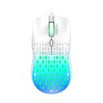Aula S11 Pro 3600 DPI RGB Optik Mavi Renk Gaming Mouse