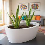 Aura Elipso 40x30x20cm Elips Fiber Saksı Mat - İç ve Dış Mekan Büyük Saksı (Beyaz)