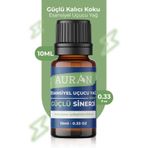 AURAN AURANSYNERGYNS10ML1 Güçlü Sinerji Esansiyel Uçucu Koku Yağı Ortam Kokusu Doğal Yağ Sihirli Küre Hobi Esansı 10Ml