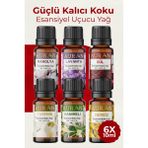 Auran Çiçekler Seti Saf Esansiyel Uçucu Yağ Buhurdanlık Yağı Difüzör Esansı Aromaterapi Koku Yağı 6X 10ml