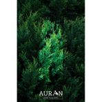 AURAN m1jbg0zOND Sedir Ağacı Esansiyel Uçucu Koku Yağı Ortam Kokusu Doğal Yağ Sihirli Küre Hobi Esansı 10Ml