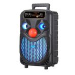 Auris NDR-P66 USB SD Bluetooth'lu Kablolu Mikrofon 8 inç Portatif Ses Sistemi