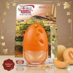 AutoBase Kavun Aromalı Cam Şişe Oda ve Oto Kokusu 100 ml Tek Parça Ferahlatıcı Koku