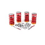 autogp Honda civic uyumlu spor helezon yay coilover alçaltma kiti ayarlı 98-01 AGP-1001323