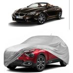 Autolion Bmw M6 Cabrio Uyumlu Miflonlu Oto Branda Premium Kalite Araba Brandası