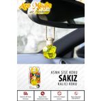 Automix Aromagic Asma Şişeli Koku Sakız