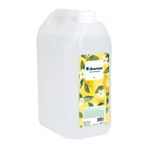Avansas 5 lt Bidon Limon Kolonyası
