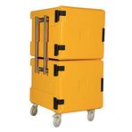 Avatherm 600x2 Double Sarı Thermobox