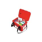Avatherm Medical Organ Taşıma Kutusu İlaç Serum Kan Aşı Çantası Thermobox