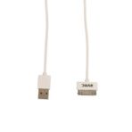 Avec AV-W102 USB-IP4/4S 1 m Kablo
