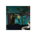 Aveda Botanical Repair Onarım Seti - Şampuan 200ML Saç Kremi 200ML Gece Serumu 30ML