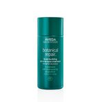 Aveda Botanical Repair Şampuan Önceki Bakım
