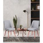 Avenza Living 2,li Mutfak,cafe Sandalyesi - Açık Gri