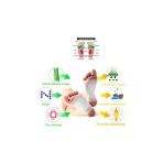 Aveo Detoks 10 Adet Knoki Detox Ayak Bandı