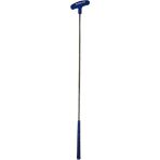 Avessa GB-30 Mavi Tek Parça Golf Sopası