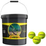 Avessa Tt-96 Profesyonel Tenis Antrenman Topu 96Li
