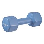 Avessa Vinly Pvc 4 kg Dambıl