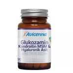 Avicenna Glucosamine Chondroitin Msm 90 Tablet