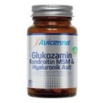 Avicenna Glucosamine Chon+Msm