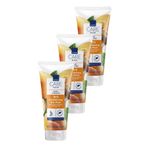 Avon Care 3x200 ml Kayısı Özü ve Shea Yağı İçeren 3’ü 1 Arada Saç Maskesi