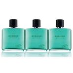 Avon Horizon Wilderness EDT 75 ml 3'lü Erkek Parfüm Seti