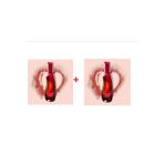 Avon Passion Dance EDT 2x50 ml Kadın Parfüm