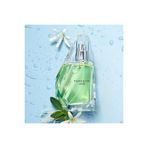 AVON Perceive Dew EDP