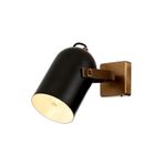 Avonni AR-60349-1E Siyah/Eskitme Boyalı/Kaplama Modern Avize