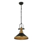 Avonni E27 Metal 29 cm Siyah Boyalı Modern Avize
