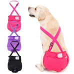 Avont 3 adet tekrar kullanılabilir köpek bezi, yüksek emici, yıkanabilir ve çevre dostu hijyenik ped külot, kadın evcil hayvanlar için, siyah/pembe/lila