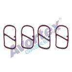 Avortex Emme Manifold Conta Fıat 1.3 Multijet (Jtd) 16V Doblo-Egea-500C-Punto-Panda-Linea-Fiorino Euro 5 Si Likon 4Ad. Takım