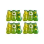 Avşar 200 ml Kivi Limon C Plus Maden Suyu