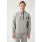 Avva A32Y1190 Gri Erkek Sweatshirt