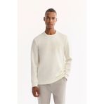 Avva A52Y1215 Ekru Regular Fit Erkek Sweatshirt