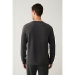 AVVA Erkek Antrasit Bisiklet Yaka Baskılı Soft Touch Regular Fit Sweatshirt A41y1224 - M