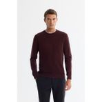 AVVA Erkek Bordo Bisiklet Yaka Dokulu Triko Regular Fit Kazak E005109