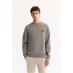 Avva Erkek Gri Bisiklet Yaka Pamuklu Bi-Stretch Basic Regular Fit Sweatshirt A52Y1328