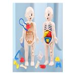Ax Axentia Eğitici Oyuncak Insan Vücudu Anatomisi Organ Bulmaca Puzzle Bultak Yapboz 20 Cm