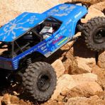 Axial Wraith Poison 1/10 RTR Elektrikli Model Araba