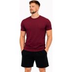 Axxel Erkek Bordo Pamuk Likralı Süprem Kısa KOLLU-T-SHIRT-D230 - XL