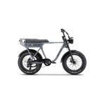 Axxis Ape Ryder A10 Iki Kişilik Elektrikli Bisiklet