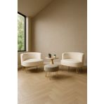 AY CONCEPT Elegance 2'li Çay Seti Berjer Ve Puf Takımı Balkon ofis yatak odası Teddy Kumaş