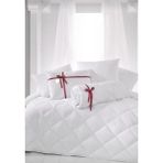 AY Home Tek Kişilik Antialerjik Lüx Silikon Yorgan ve Yastık Hediyeli 1 Adet Yastık 800GR Pamuklu Beyaz - 155 x 215 cm - 100 - Beyaz