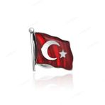 Ay Yıldız 925 Ayar Gümüş Rozet