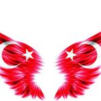 Ay Yıldız Araba Aynası Sticker Yapıştırması