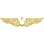 Ay Yıldız Kanatlı Türk Bayrağı Oto Kapı Cam Kaput Sticker - 30CM - 1 - GTR