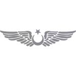 Ay Yıldız Kanatlı Türk Bayrağı Oto Kapı Cam Kaput Sticker - 30CM - belirtilmemiş - Gold