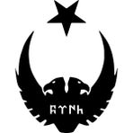 Ay Yıldız Kartal Türk Sticker Ay Yıldız Oto Sticker Araba Sticker - 40cm x 33cm - Siyah